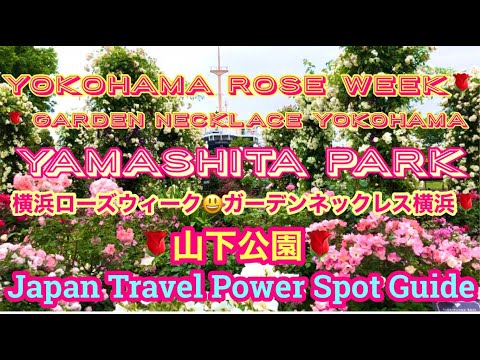 Yokohama Rose Week🌹Garden Necklace Yokohama🌹Yamashita park💐横浜ローズウィーク😃ガーデンネックレス横浜🌹山下公園🌹