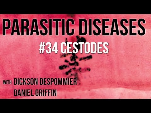 Parasitic Diseases Lectures #34: Cestodes