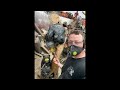 Tuning up this chainsaw carved statue of two bear cubs
