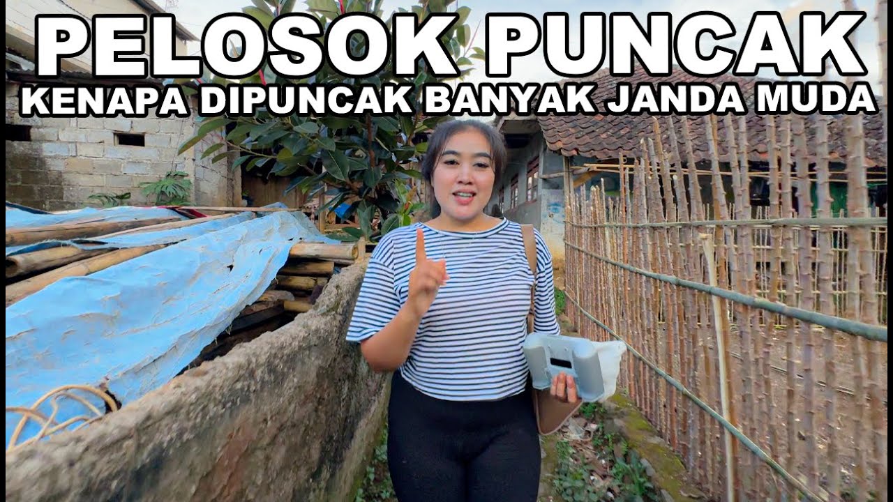 INI ALASANYA KENAPA ORANG CARI JANDA DI PUNCAK 😍