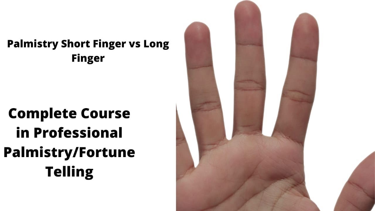 Palmistry Short Fingers vs Long fingers What it tells about your