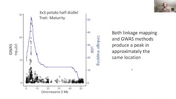 Tools for Polyploids Workshop: GWASpoly (01 15 2021)