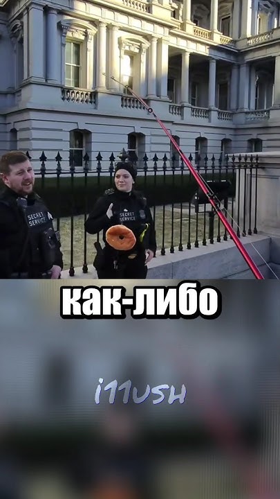 Мемы кот дуреет с этой прикормки