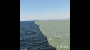 Thumbnail of Atlantic and Pacific ocean meet but don't mix.