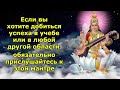 Если вы хотите добиться успеха в учебе или в любой другой области, послушайте эту мантру