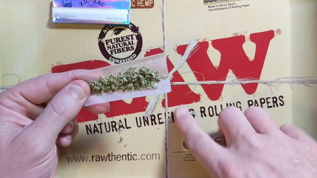 Got more Formula 1 flower LHS Eustis