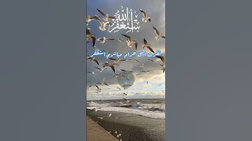 الاستغفار بعد الذنب #القرآن_الكريم #الرحمن #اذكار_الصباح #المصحف
