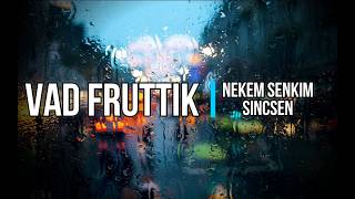 Video thumbnail of "Vad Fruttik -  Nekem senkim sincsen (Dalszöveggel)"
