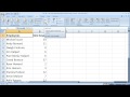 Excel Tips 18 - Quickly Sort Data Alphabetically and Numerically in Excel 2007