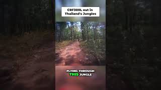 Enduro Tour: Watch Me Chase the Leader on the Forest Dirt Trail! #shorts