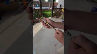 Megaphone Popper Firework: The Ultimate Safe Fun - Must Watch!💥