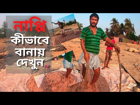 আদিবাসীদের জনপ্রিয় খাবার নাপ্পি অস্বাস্থ্যকর পরিবেবেশে কিভাবে বানায় দেখুন..