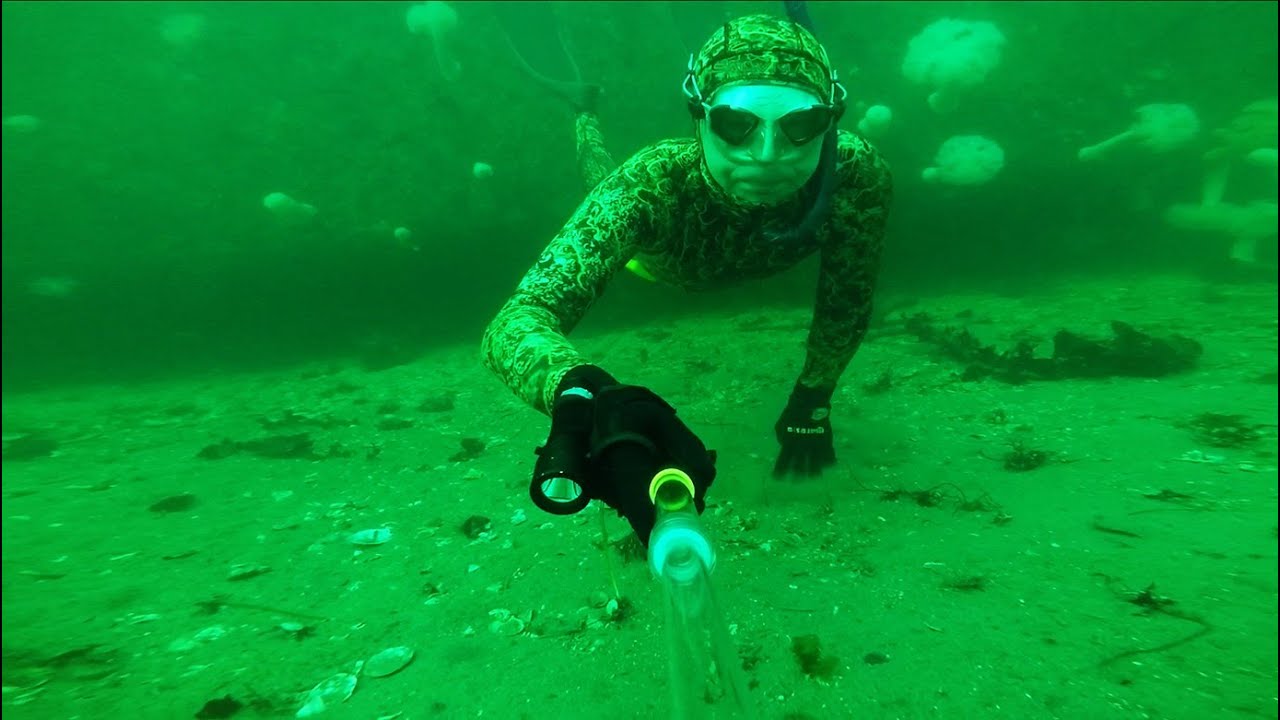 Edmonds dive park Freediving YouTube