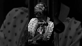 Download Lagu Wake Up and Do You | Snoop Dog and Joe Rogan MP3