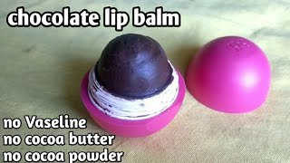 Diy Chocolate Lip Balm Without Vaseline,Cocoa Er