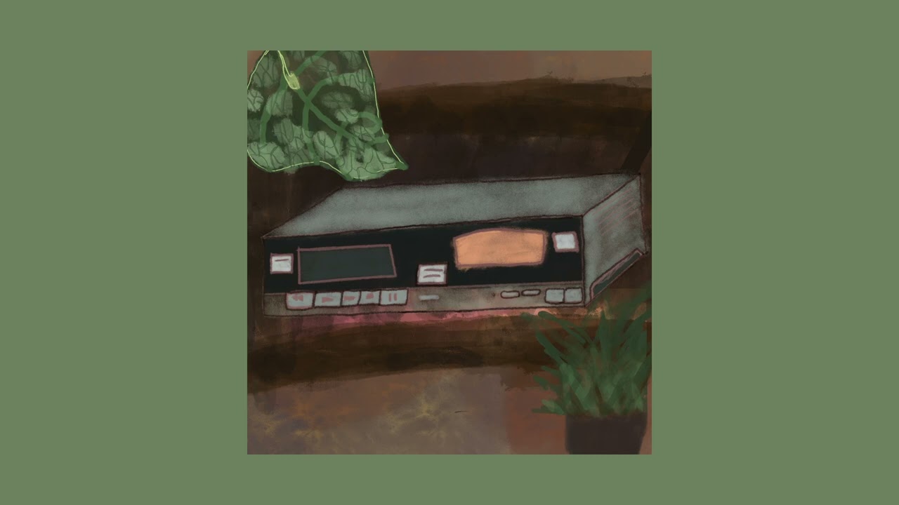 GrandAce - lions and tigers