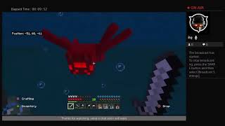 The Newbie and the Pro Play Minecraft - Lets play