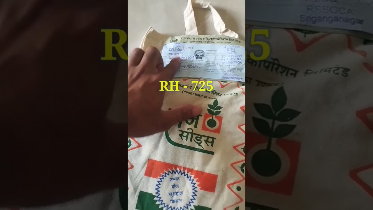 RH 725 Sarson ki all rounder variety