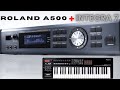 MIDI клавиатура ROLAND A500PRO R