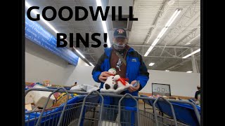 Trying Out The Goodwill Bins In Columbus Ohio