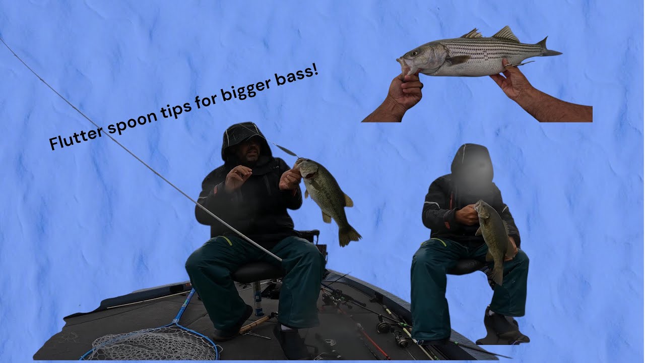How to use a use a flutter spoon to catch big bass Huge bass caught!