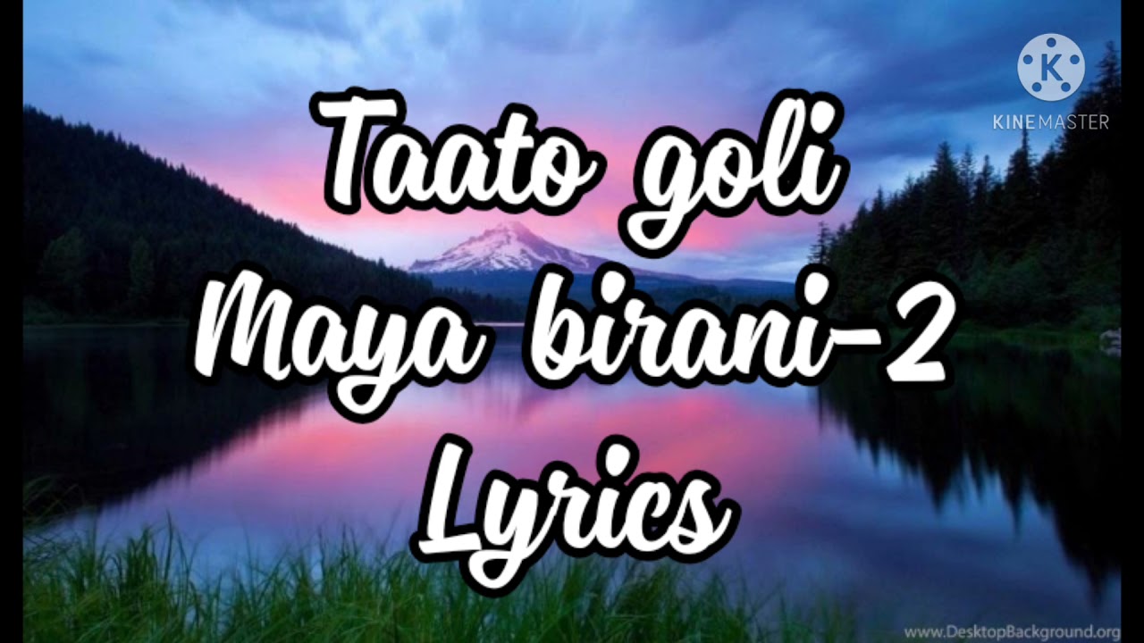 Tato goli maya birani 2 full song and lyrics