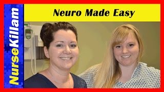 How to Conduct a Neurological Health Assessment Scenario Test Done Step by Step