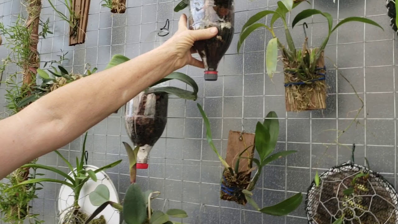 Como fazer um painel para as suas orquídeas