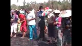 TONAU (musik pop Dayak Kalimantan TImur)