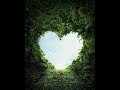 Natures | shayan Bhattacharya | Music 2021 lockdown