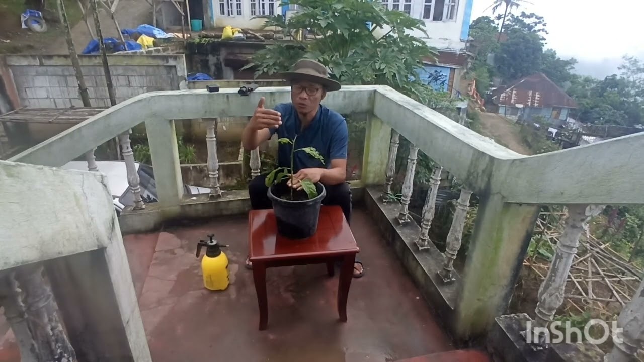 HMARCHA HNAH,ṬANG LAWNG ,ṬAWIH&MAWIH VEN LEH ENKAWL DAN