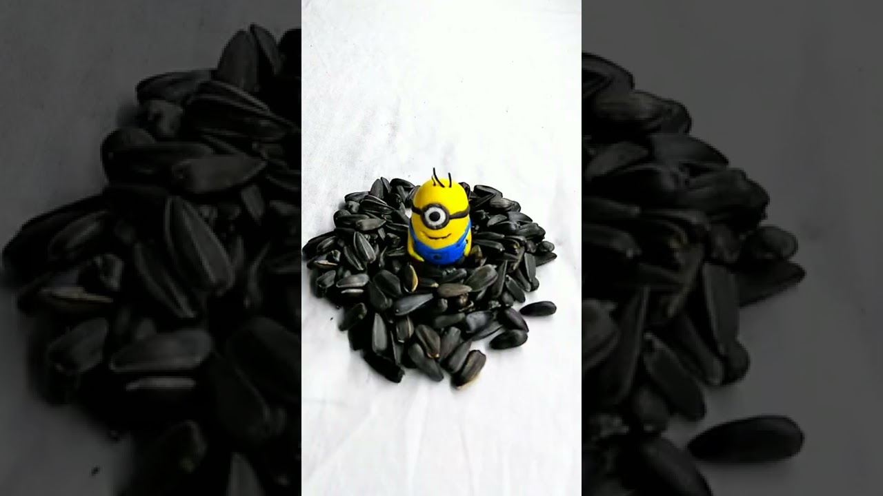 Minion loves the seeds 