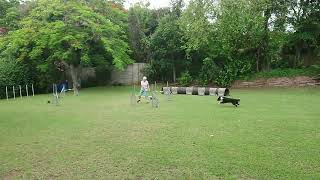 Wit - OMD Backyard sequence - Trapstacles