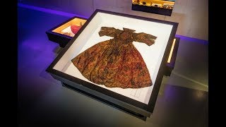 Divers Exploring A North Sea Shipwreck Discovered A nImmaculate 400 Year Old Royal Treasure Trove