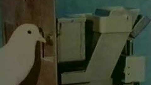 Schedule of reinforcement