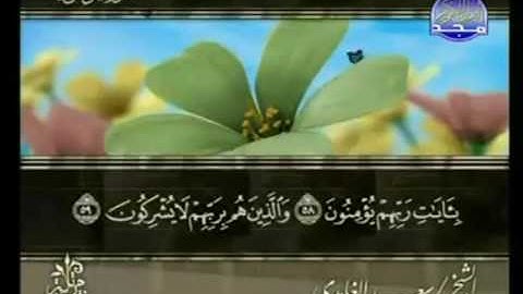 الختمة المرتلة للشيخ سعد الغامدي - الجزء الثامن عشر ( 18 ) - قناة المجد للقرآن الكريم
