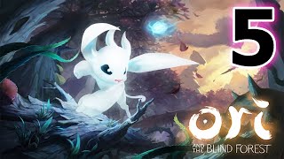 Туманный лес - загадочная локация / Дорога к Долине Ветров / Ori and the Blind Forest прохождение