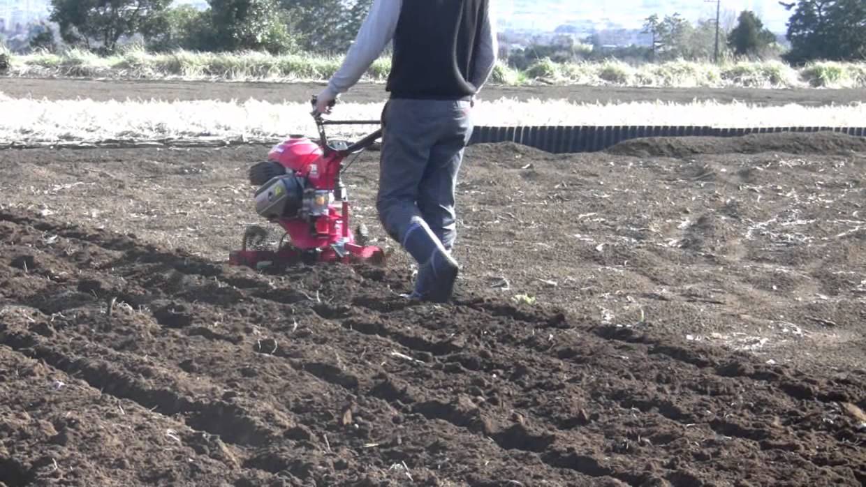 YANMAR MT50 耕運機 赤 耕運機 ヤンマー耕うん機 ロータリー一軸正逆転タイプ Z仕様 YK650MR,Z