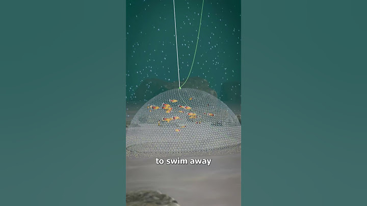 How A Cast Net Works 🤔