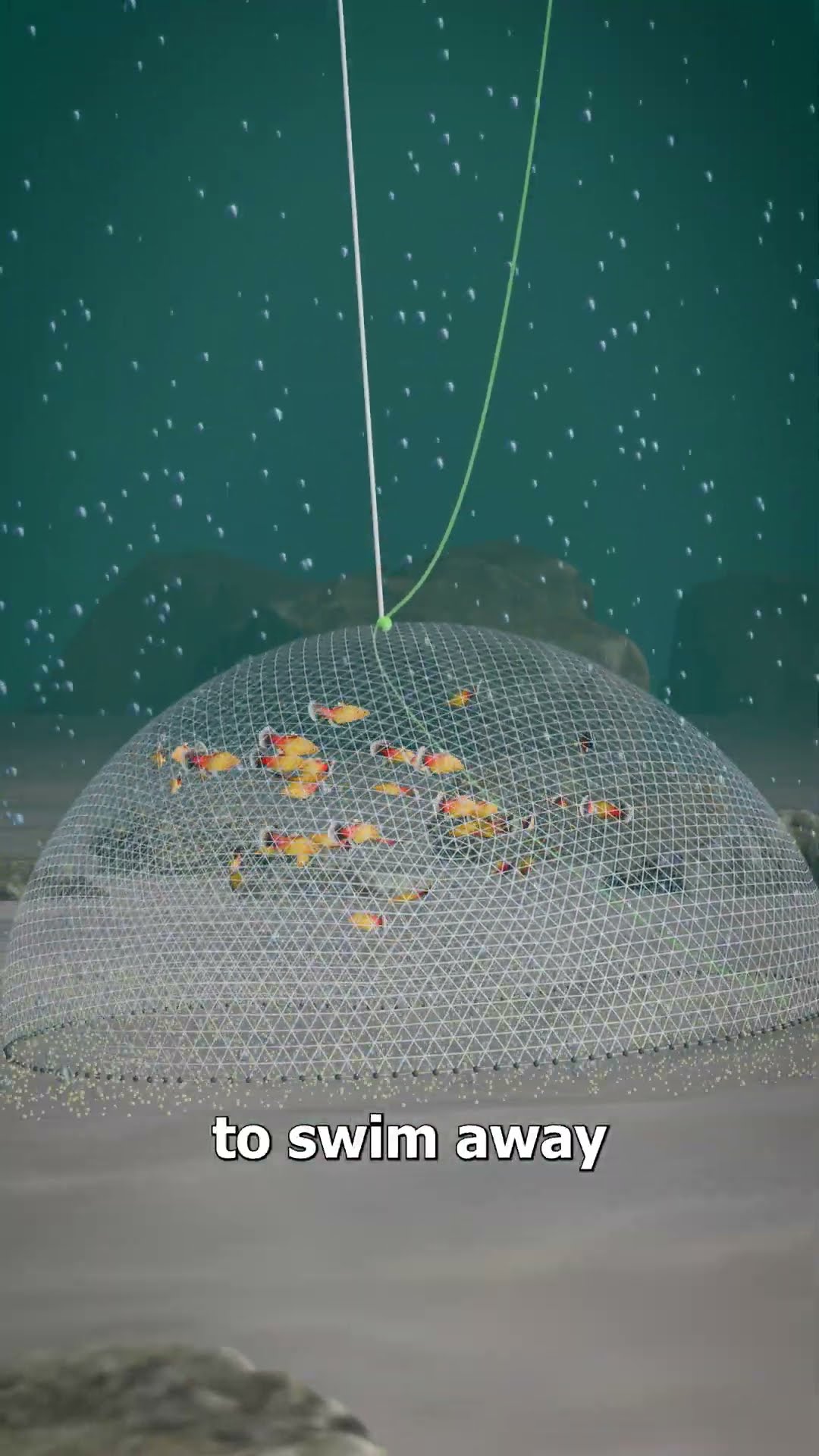 How A Cast Net Works ?