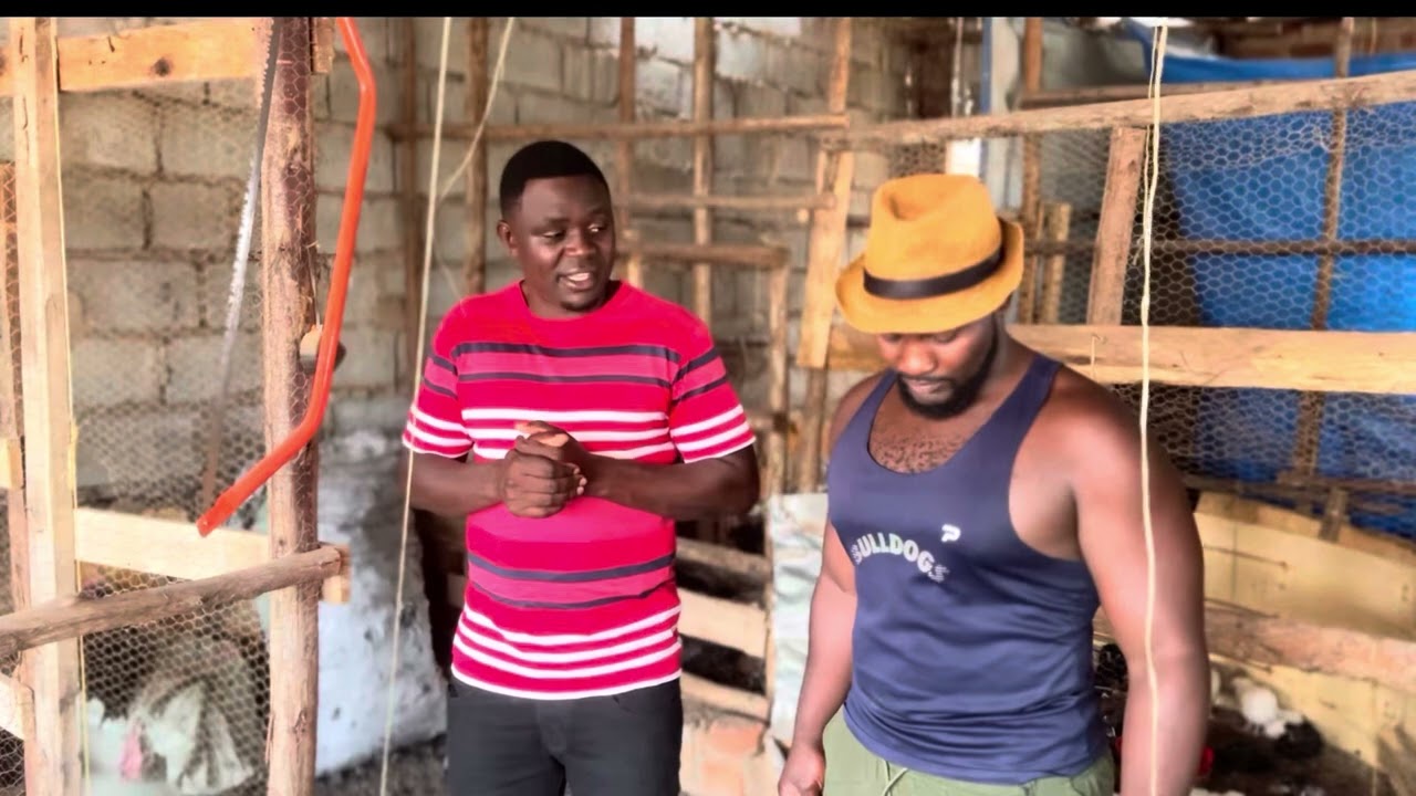 Leero tukuleetedde CEO wa BSIX local poultry farm Mr kawooya Bashir.  Twogedde kubulunzi bw’enkoko