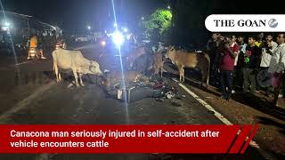 Canacona man seriously injured in self-accident after vehicle encounters cattle