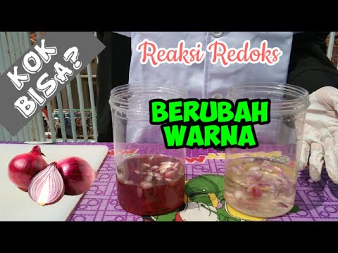 Percobaan Reaksi Redoks PK dan Bawang Merah