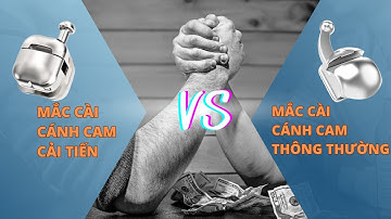 So Sánh Mắc Cài Cánh Cam Cải Tiến & Mắc Cài Cánh Cam Thông Thường Khác