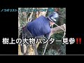 【鋸】ゲンキ手曲500：ノコギリスト・ジェイソンのオススメ　ノコギリ紹介‼️