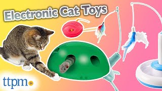 We Tested Electronic Cat Toys So You Don't Have To | Electronic Cat Toys Review 2021 | TTPM Pets