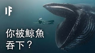 ?|