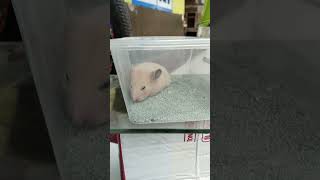 Ko Malah Tidur Disuruh Mandi