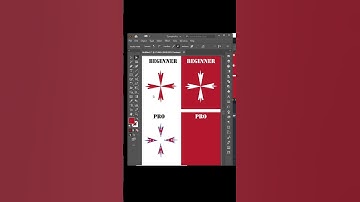 Difference between beginner and pro graphic designer #adobeillustrator #graphicdesign