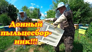 СТАВИМ ДОННЫЙ ПЫЛЬЦЕСБОРНИК ДЛЯ СБОРА ПЫЛЬЦЫ, РЕЗУЛЬТАТ ПОРАДОВАЛ.